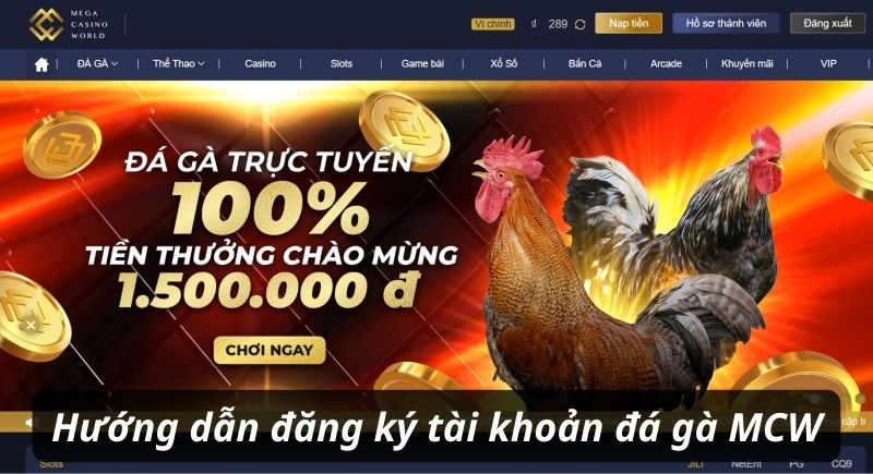 Hướng dẫn đăng ký tài khoản đá gà trực tiếp tại nhà cái MCW