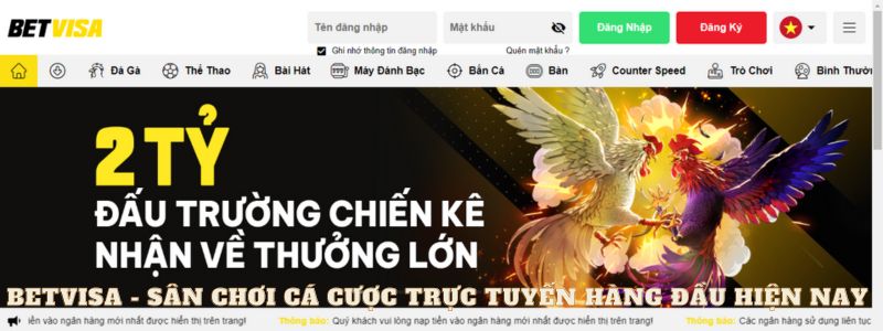 Betvisa - Điểm đến hoàn hảo cho người yêu cá cược online