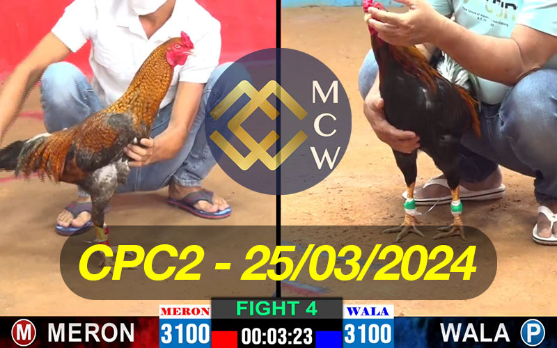 ĐÁ GÀ TRỰC TIẾP CPC2 NGÀY 25/03/2024