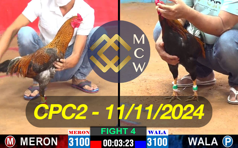 ĐÁ GÀ TRỰC TIẾP CPC2 NGÀY 11/11/2024